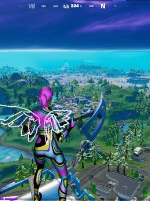 Fortnite: The Last Laugh Bundle PS4 (EU)